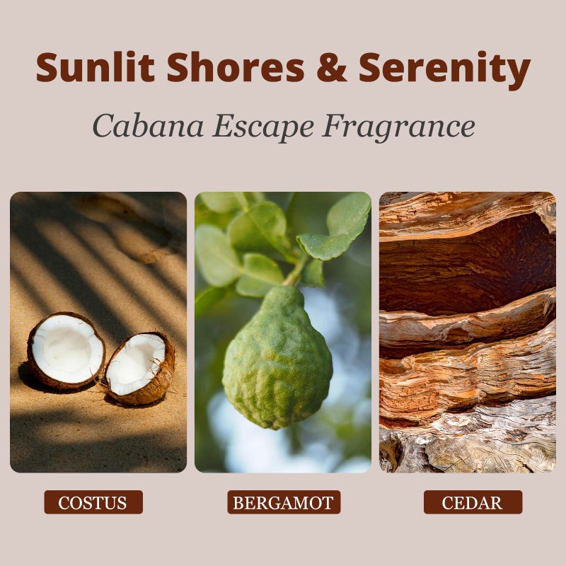 معطر هواء للسيارة - معطر هواء خشبي - مزيل رائحة السيارة لمشبك الواقي - مجموعة أدوات بدء الروائح الطبيعية، موزع رائحة السيارة لشاحنة المقصورة وسيارات الدفع الرباعي (كابانا) - Image 3